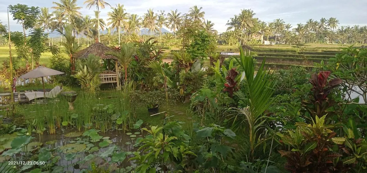 Ubud Leke Leke House Tegallalang 0*, Ubud (Bali) Indonesia