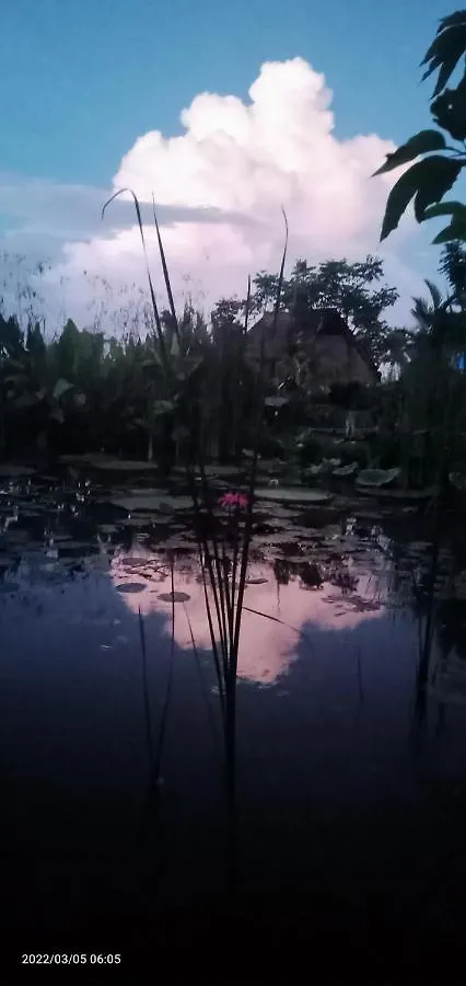 Ubud Leke Leke House Tegallalang Ubud (Bali)