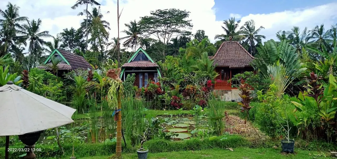Ubud Leke Leke House Tegallalang 0*, Ubud (Bali) Indonesia