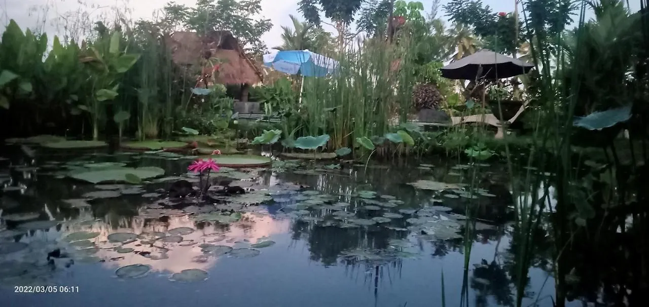 Ubud Leke Leke House Tegallalang Lodge Ubud (Bali)