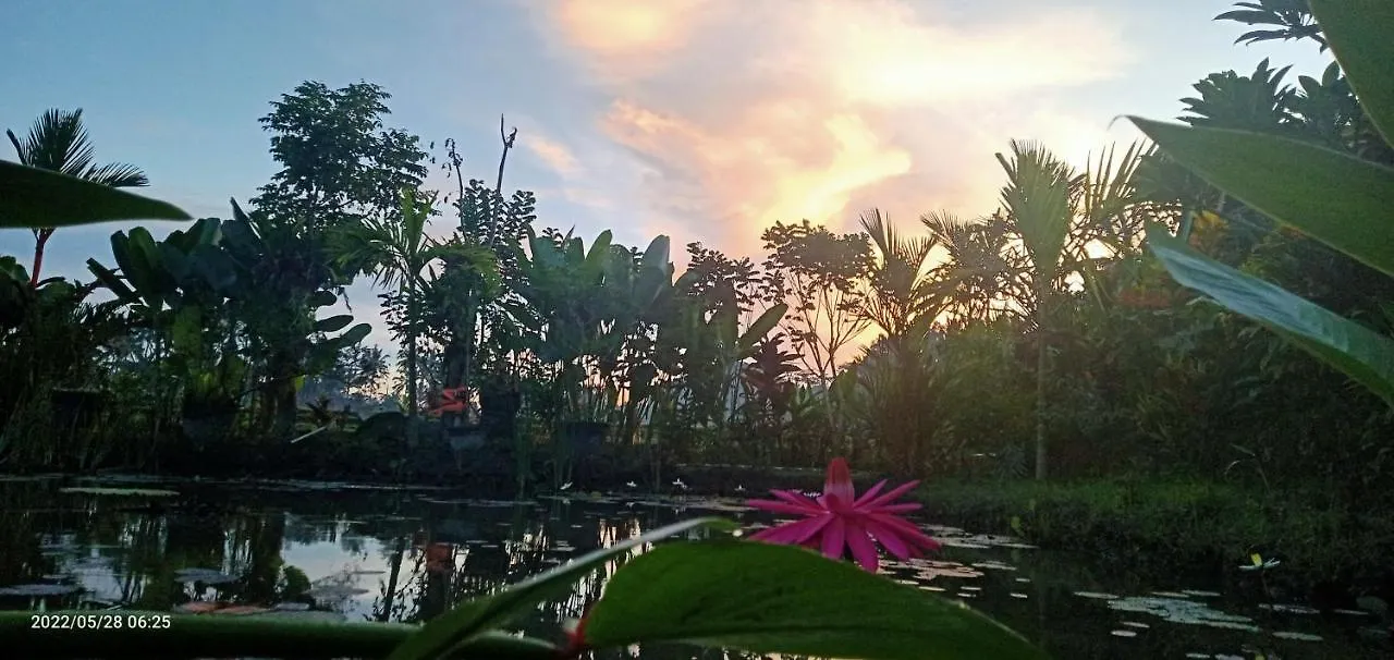 Ubud Leke Leke House Tegallalang 0*, Ubud (Bali) Indonesia