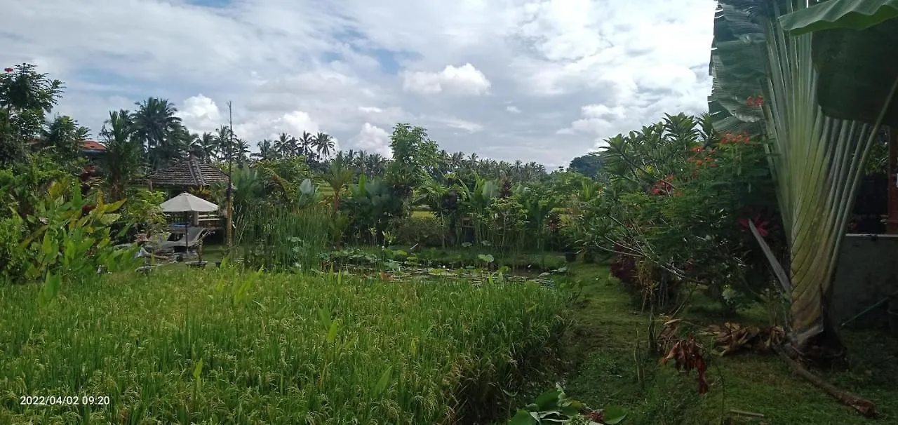 Ubud Leke Leke House Tegallalang Lodge Ubud (Bali)