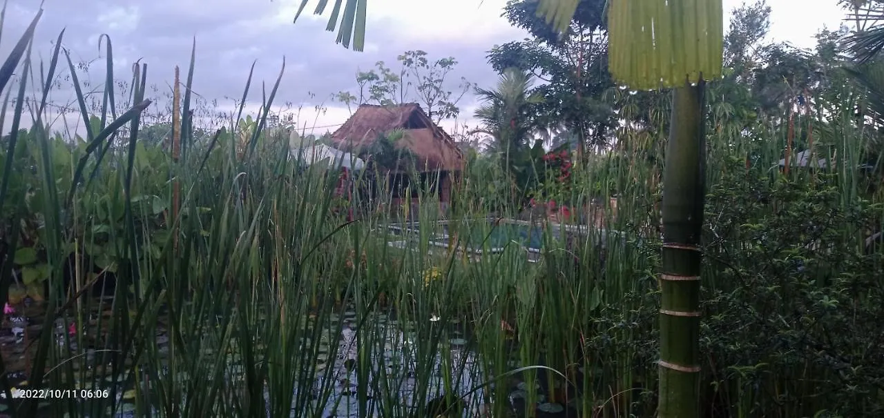 Ubud Leke Leke House Tegallalang 0*, Ubud (Bali) Indonesia
