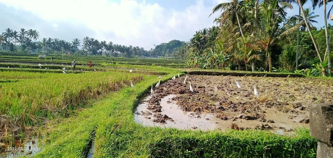 Ubud Leke Leke House Tegallalang Lodge Ubud (Bali)