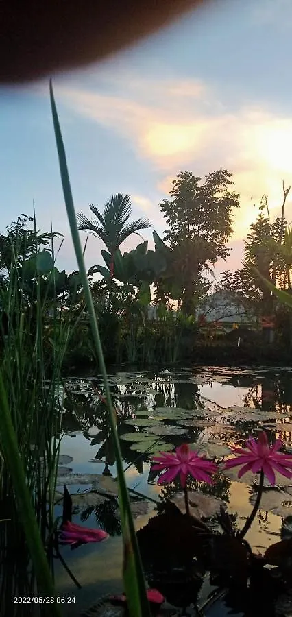 Ubud Leke Leke House Tegallalang 0*, Ubud (Bali) Indonesia