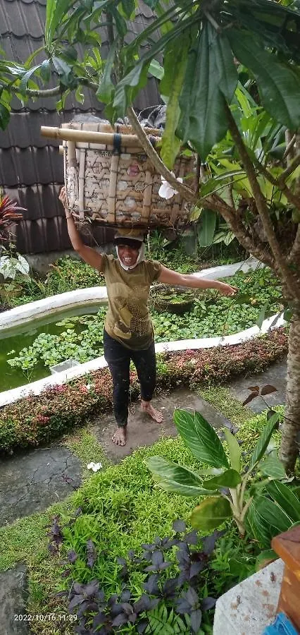 Ubud Leke Leke House Tegallalang Lodge Ubud (Bali)
