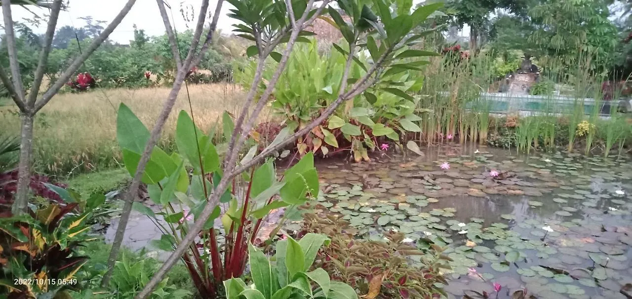 Ubud Leke Leke House Tegallalang 0*, Ubud (Bali)