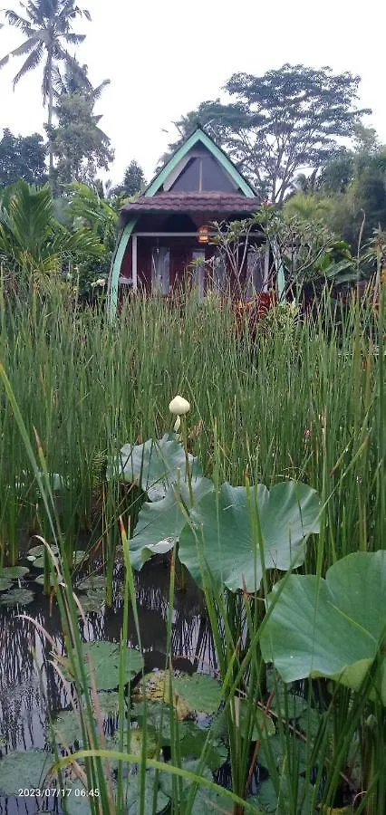 Ubud Leke Leke House Tegallalang Indonesia
