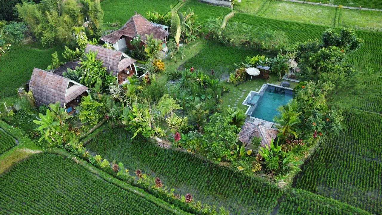 Ubud Leke Leke House Tegallalang