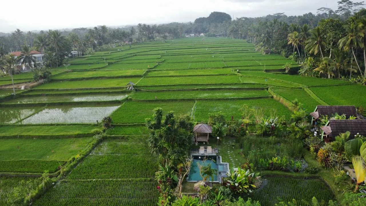 Domek letniskowy Ubud Leke Leke House Tegallalang